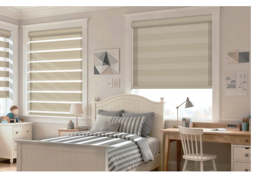 Zebra Blinds